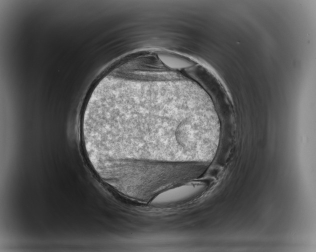 X0000087590791200705251900