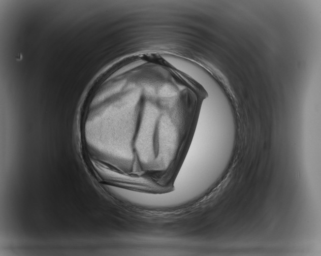 X0000087590792200705251900