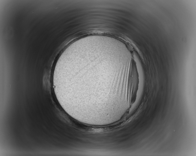 X0000087590794200705251900