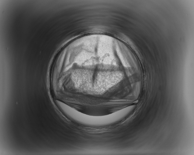 X0000087590795200705251900