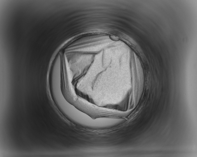 X0000087590796200705251900