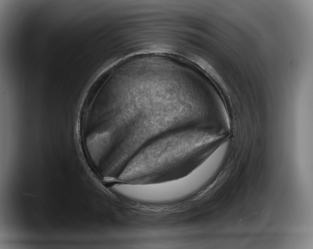X0000087590797200705251900