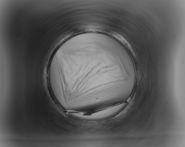 X0000087590798200705251900