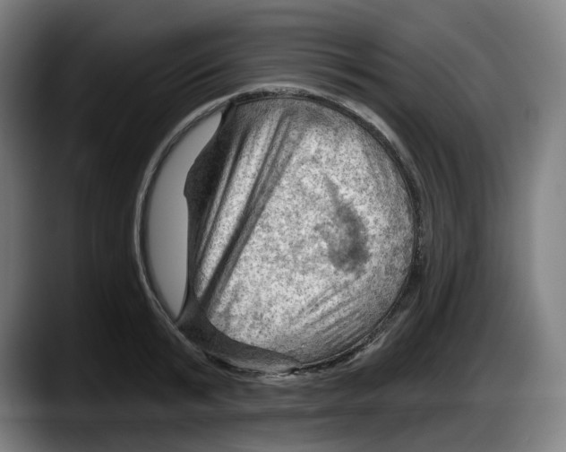 X0000087590799200705251900