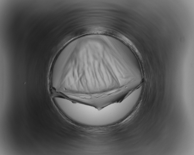 X0000087590802200705251900