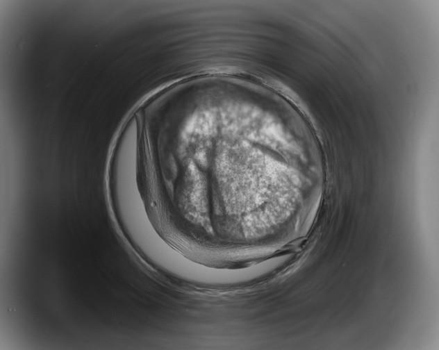 X0000087590803200705251900