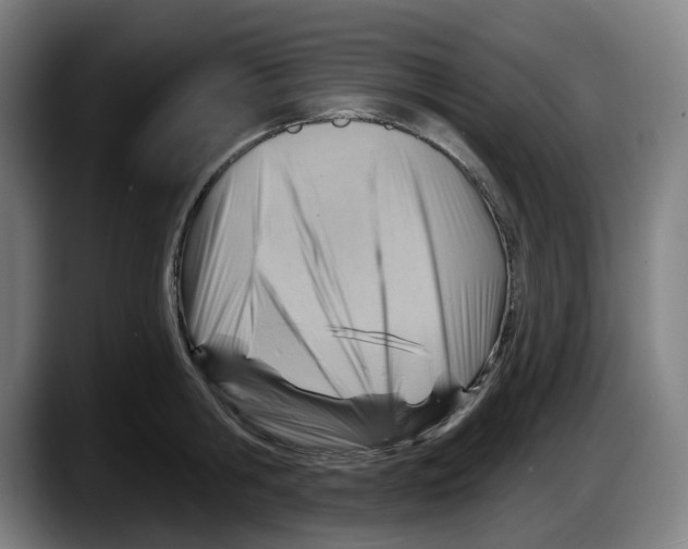 X0000087590806200705251900