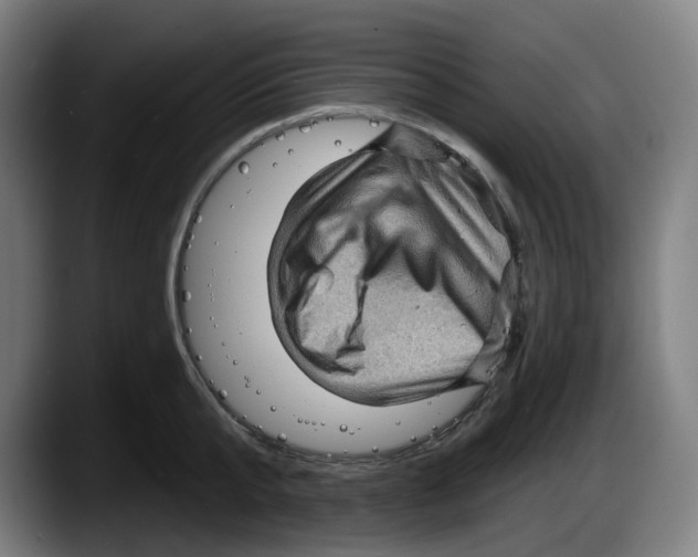 X0000087590807200705251900