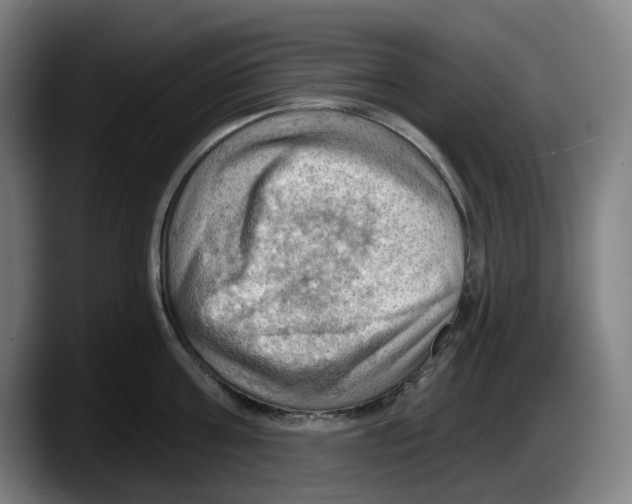 X0000087590811200705251900