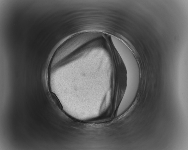 X0000087590812200705251900