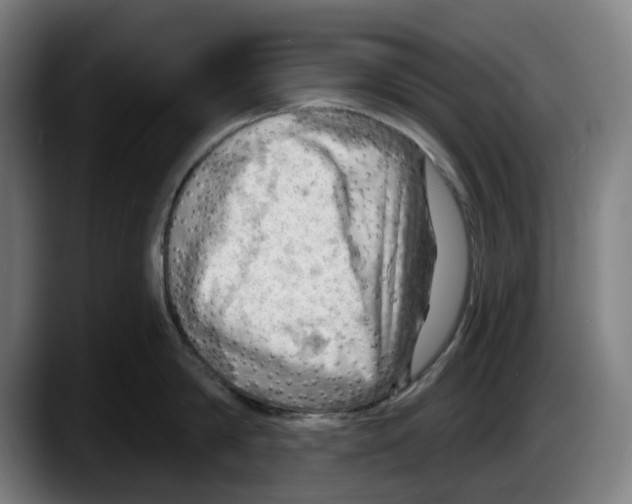 X0000087590814200705251900