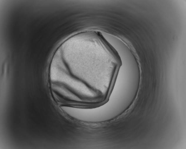 X0000087590816200705251900