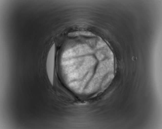 X0000087590818200705251859