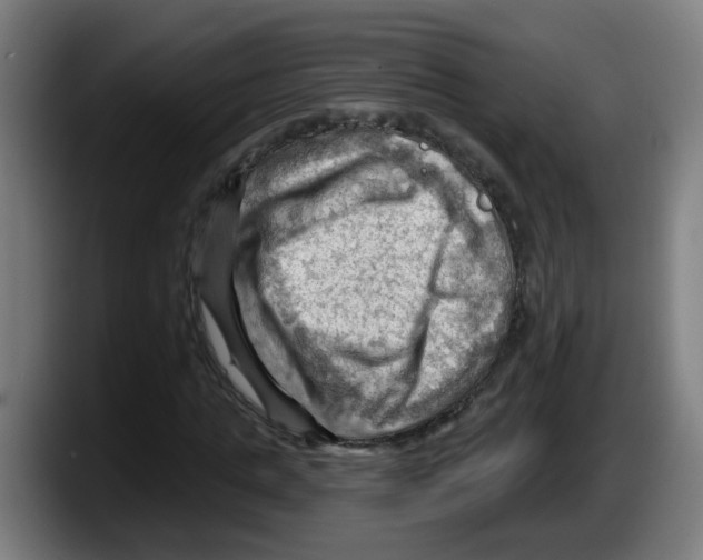 X0000087590821200705251900