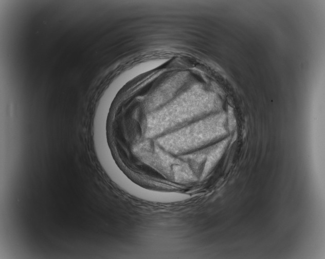 X0000087590822200705251900