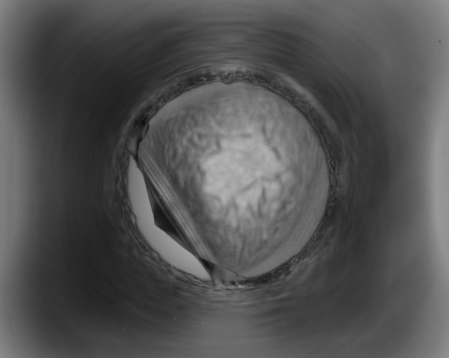 X0000087590823200705251900