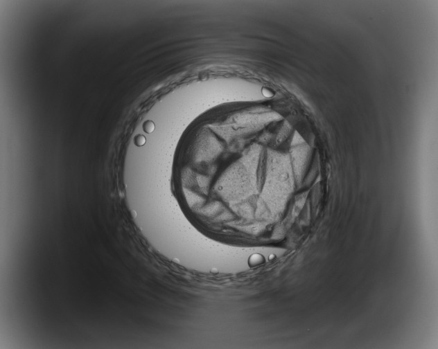 X0000087590824200705251900
