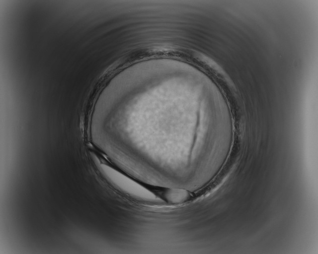 X0000087590825200705251900