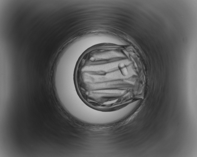 X0000087590826200705251900