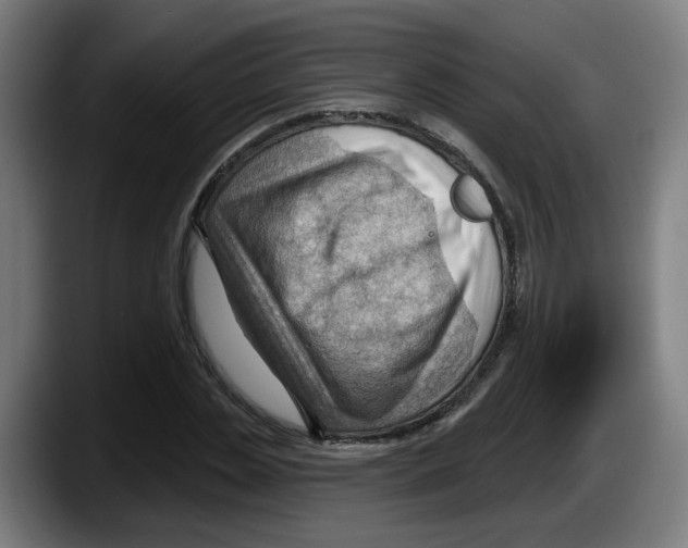 X0000087590829200705251900