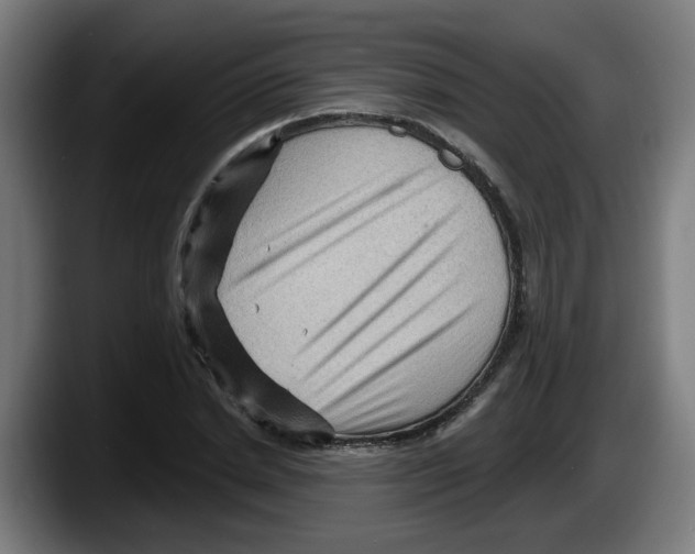 X0000087590830200705251900