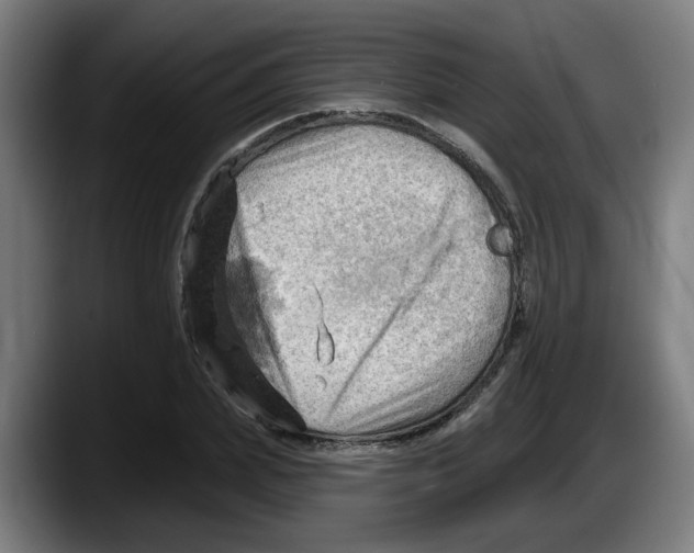 X0000087590831200705251900
