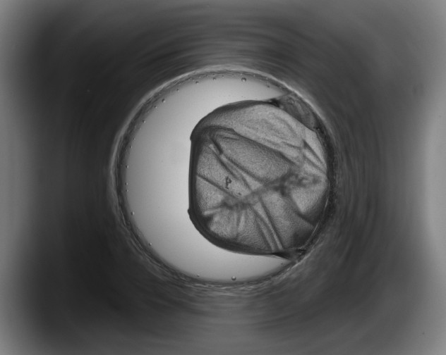 X0000087590832200705251900