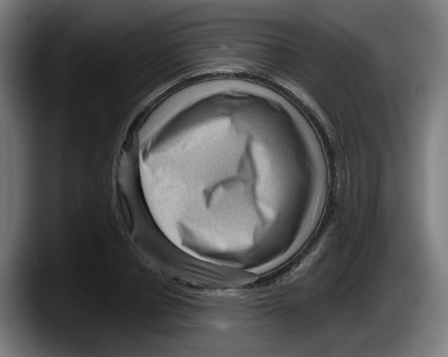 X0000087590834200705251900