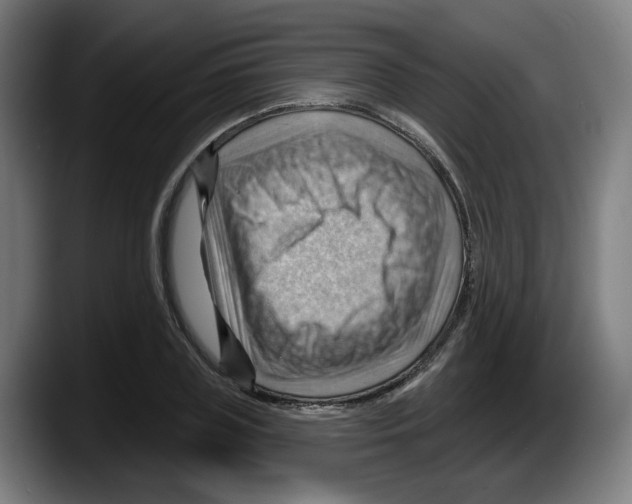 X0000087590835200705251900