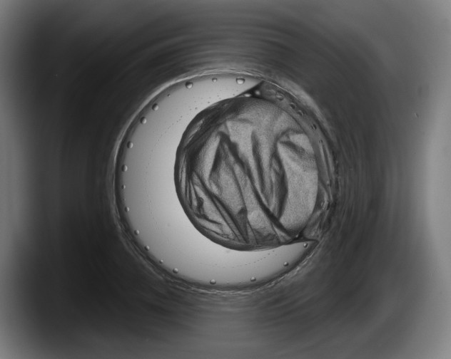 X0000087590836200705251900