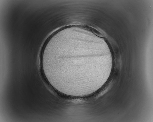 X0000087590838200705251900
