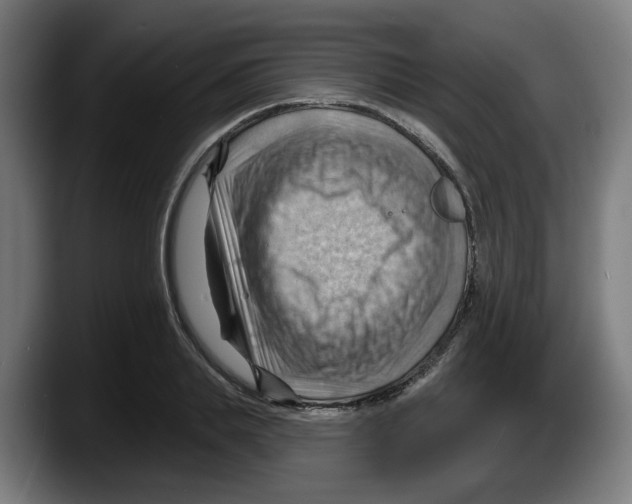 X0000087590839200705251900