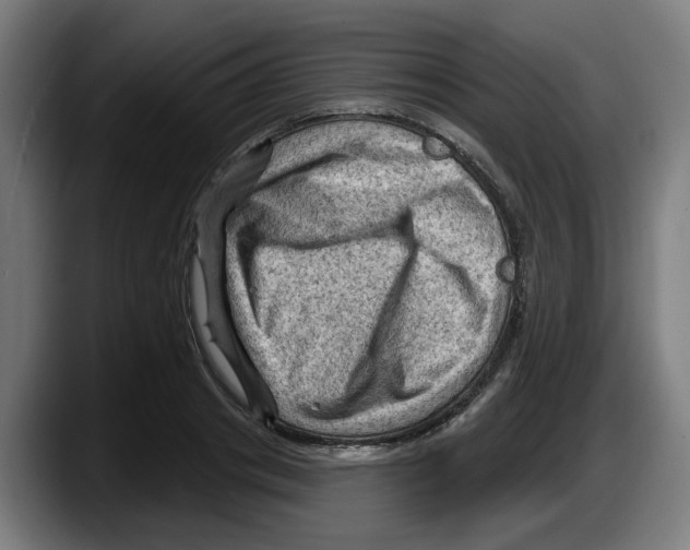 X0000087590841200705251900
