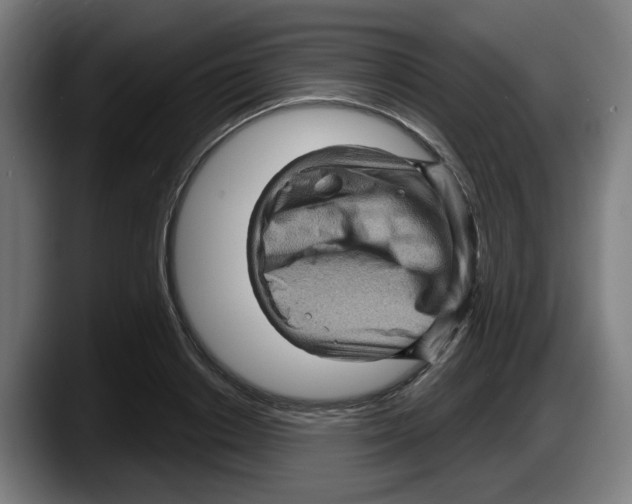 X0000087590842200705251900