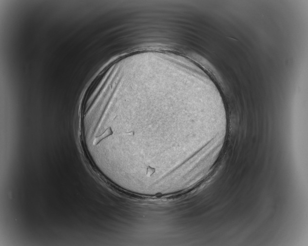 X0000087590844200705251900
