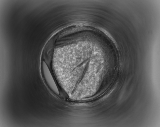 X0000087590845200705251900