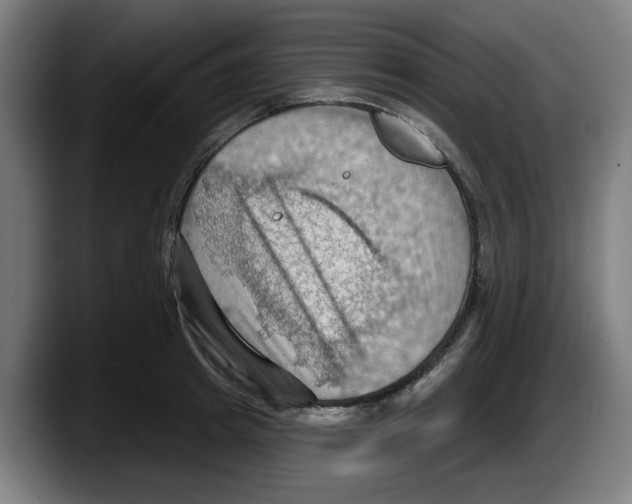X0000087590849200705251900