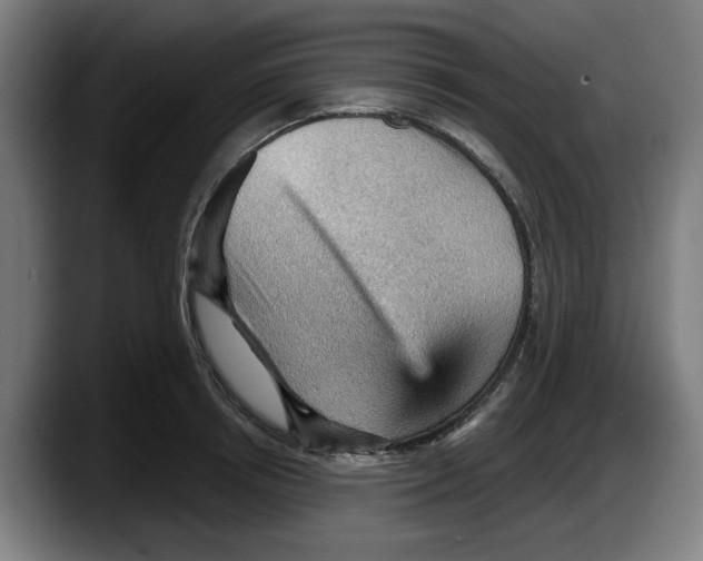 X0000087590850200705251900