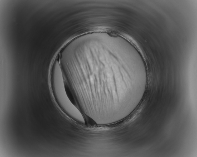 X0000087590851200705251900