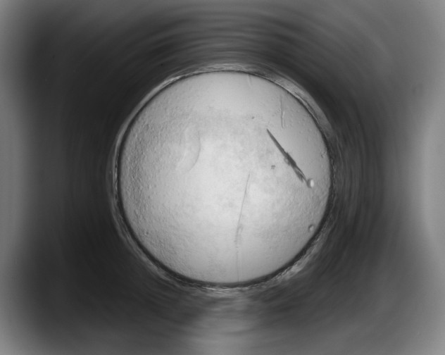 X0000087590852200705251900