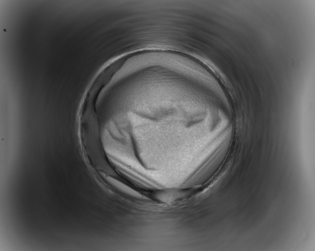 X0000087590854200705251900