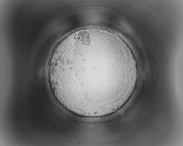 X0000087590856200705251900
