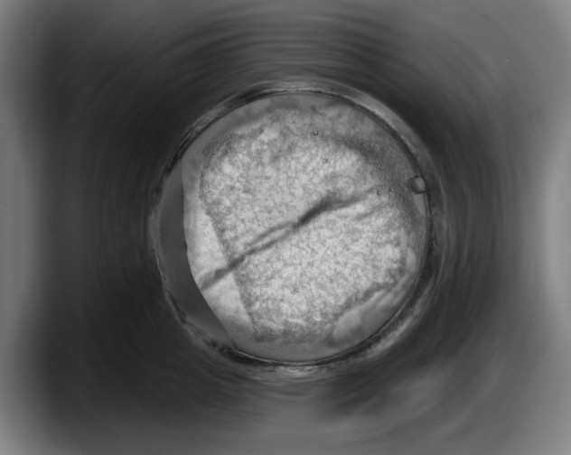 X0000087590857200705251900
