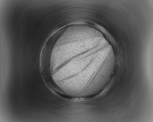 X0000087590858200705251900
