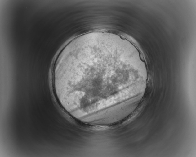X0000087590859200705251900