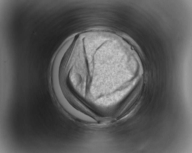 X0000087590860200705251900