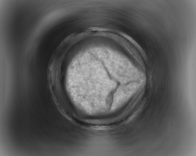X0000087590862200705251900