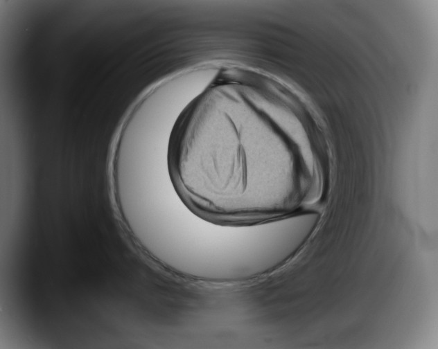 X0000087590864200705251900