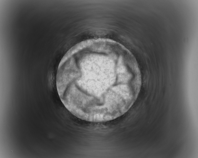 X0000087590866200705251859