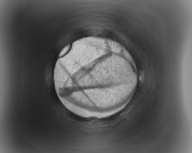 X0000087590867200705251859